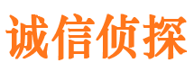 海淀市私家侦探